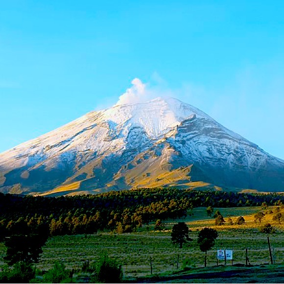 Meet your Posher - Picture 1 of 1